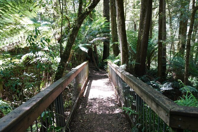 Full-Day Great Ocean Road and 12 Apostles Tour - Apollo Bay gives you a proper break
