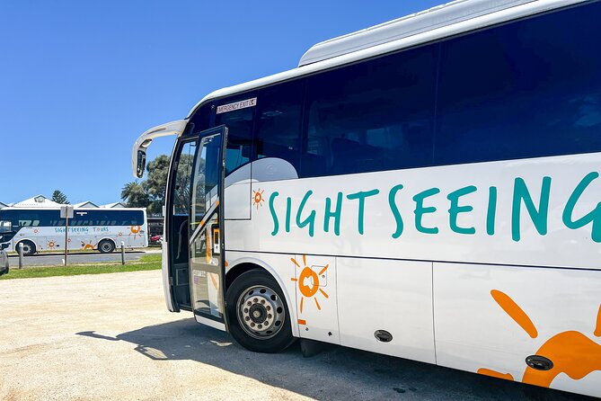 Full-Day Great Ocean Road and 12 Apostles Tour - The return through Colac