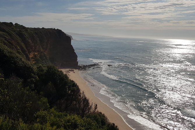 Full-Day Great Ocean Road Tour from Melbourne - Why this one-day route works from Melbourne
