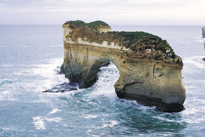Full-Day Great Ocean Road Tour from Melbourne - A short rainforest walk at Mait’s Rest