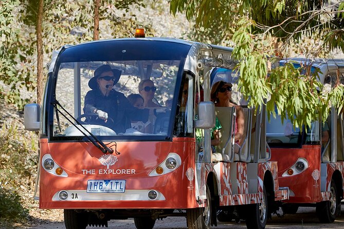 Full-Day Penguins and Wildlife Nature Experience from Melbourne - The Nobbies boardwalk is more than a quick photo stop