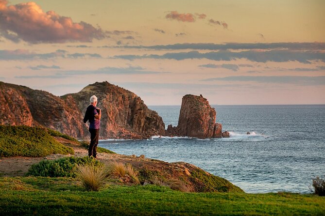 Full-Day Phillip Island Tour with Kangaroo, Koala and Penguin Parade - Cowes is your best chance for food