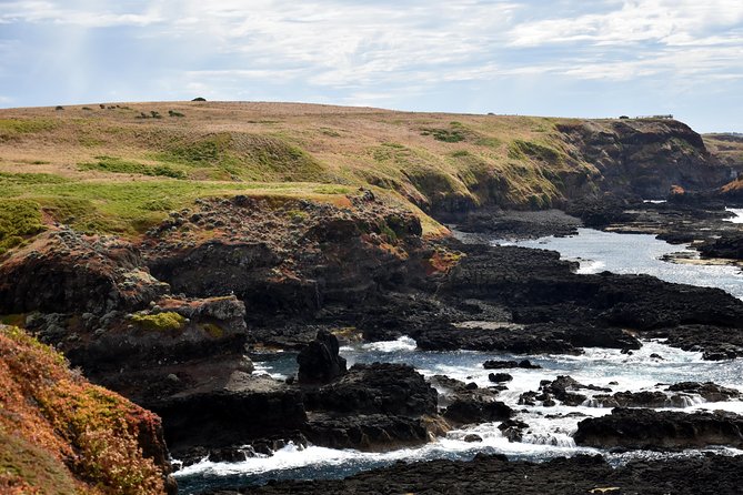 Full-Day Private Australian Wildlife Tour of Phillip Island - The Penguin Parade after sunset