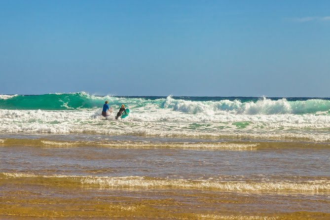 Full-Day Private Australian Wildlife Tour of Phillip Island - Food, transport, and the late return