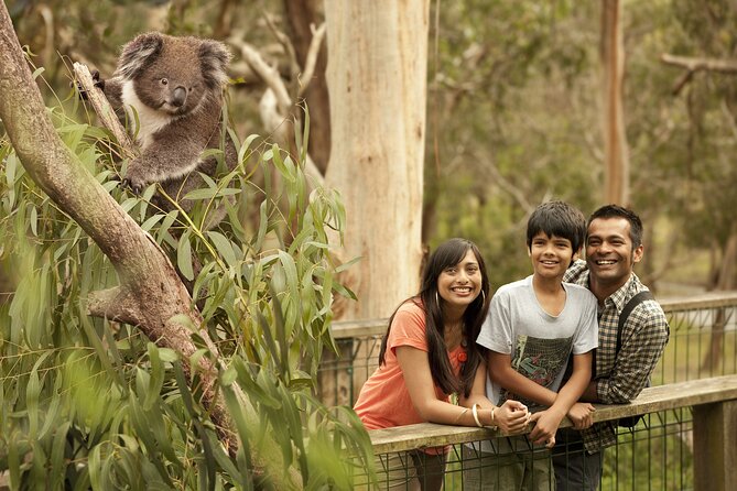 Full-Day Private Australian Wildlife Tour of Phillip Island - A private day with Ben or another multilingual guide