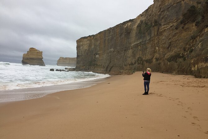 Full Day Private Custom Tour of Great Ocean Road & 12 Apostles - Kennett River is the wildlife stop
