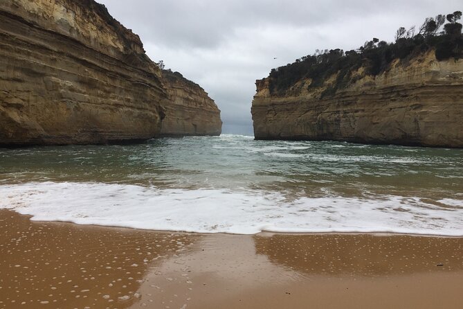 Full Day Private Custom Tour of Great Ocean Road & 12 Apostles - Anglesea adds kangaroos and a seaside-town view