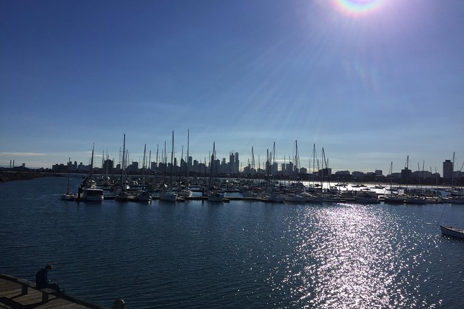Full Day Private Melbourne Tour with enchanting Koala Encounters. - A fast, personal introduction to Melbourne