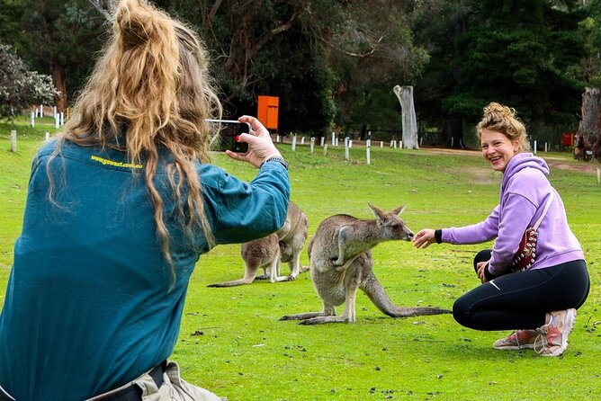 Grampians National Park Small-Group Eco Tour from Melbourne - Wonderland Loop and the Grand Canyon walk