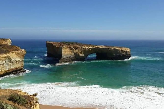 Great Ocean Road 12 Apostles kangaroo, koala and chocolate tour - Looking for koalas along the coastal road