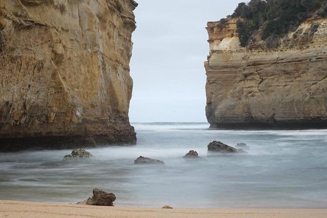 Great Ocean Road 12 Apostles kangaroo, koala and chocolate tour - Anglesea Golf Club and the search for kangaroos