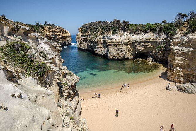 Great Ocean Road, 12 Apostles, Loch Ard Gorge & lunch - Melbourne - Ancient rainforest at Mait’s Rest or Melba Gully