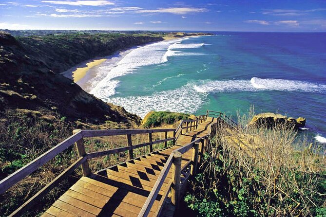 Great Ocean Road 12 apostles PRIVATE Luxury Tour 5 PAX all incl. - Mutton Bird Lookout adds a slice of geology
