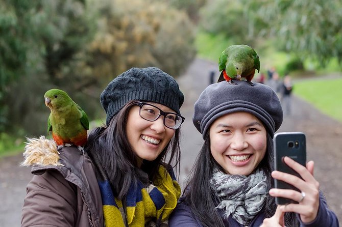 Great Ocean Road, 12 Apostles, Rainforest & Morning Tea-Melbourne - Loch Ard Gorge adds drama and history