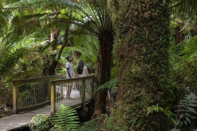 Great Ocean Road, 12 Apostles, Rainforest & Morning Tea-Melbourne - The Memorial Arch tells the road’s story