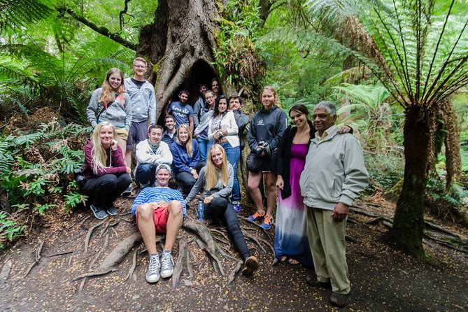 Great Ocean Road 12 Apostles & Rainforest Walk with Morning Tea - Loch Ard Gorge brings history to the cliffs