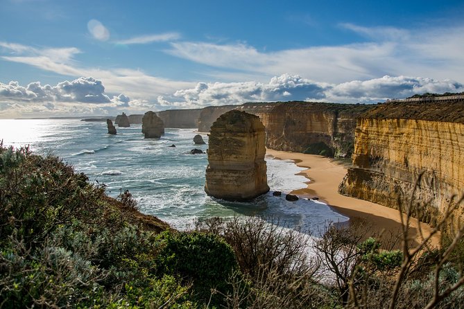 Great Ocean Road 12 Apostles & Rainforest Walk with Morning Tea - Serendip Sanctuary adds wildlife to morning tea