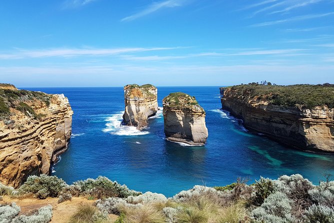 Great Ocean Road Coastal Spectcular with Wildlife Wonders - Anglesea adds a chance to spot kangaroos