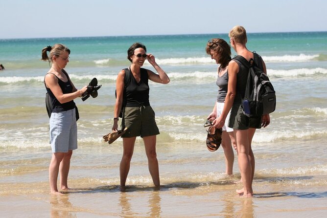 Great Ocean Road Full-Day Sunset Eco Tour from Melbourne - Through the Otway Ranges to the Shipwreck Coast