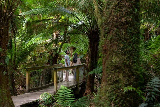 Great Ocean Road Grampians 2 Day Tour from Melbourne to Adelaide - Why this Melbourne to Adelaide route works