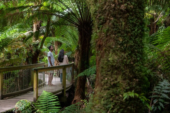 Great Ocean Road Grampians 3 Day National Park Tour Melbourne Roundtrip - Key points to know before booking