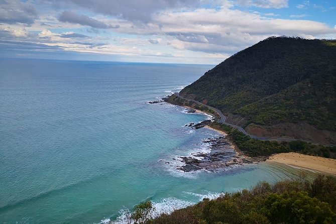Great Ocean Road Medium Size Group Tour - Forest walks and wildlife sightings