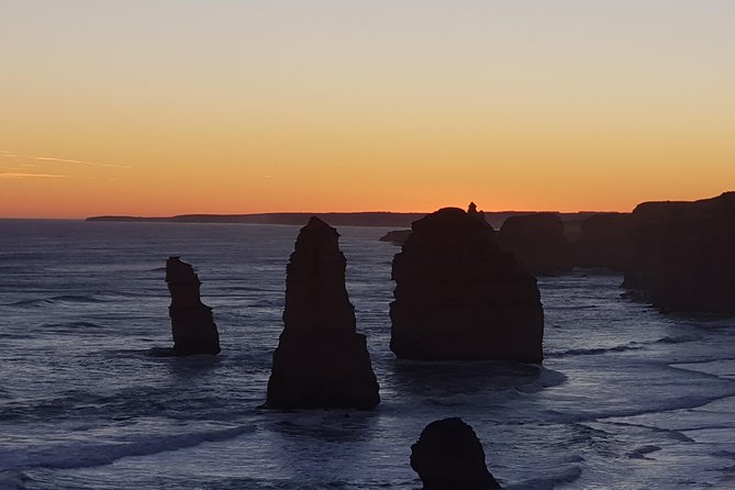 Great Ocean Road Private Luxury Tour - Forest time in the Otways