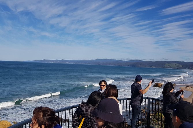 Great Ocean Road Private Luxury Tour - What the price means for your group