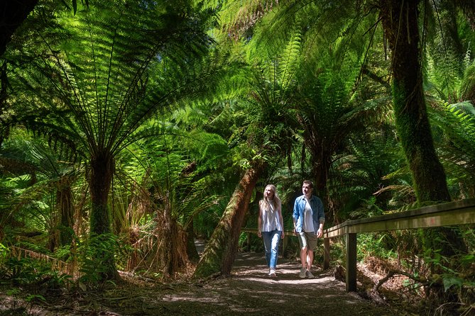 Great Ocean Road Private Tour - The private vehicle makes the price easier to understand