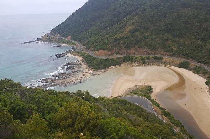 Great Ocean Road Private Tour - Kennett River is your best wildlife stop