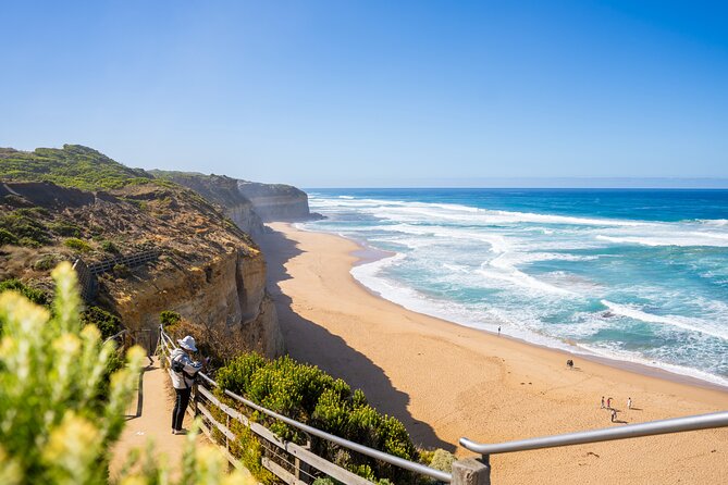 Great Ocean Road Reverse Itinerary Boutique Tour - Max 11 Guests - The Great Otway brings tall trees and a short rainforest walk