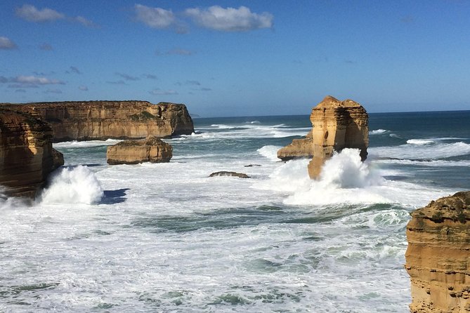 Great Ocean Road Reverse Rainforest & 12 Apostles from Melbourne - A picnic in the Great Otway rainforest