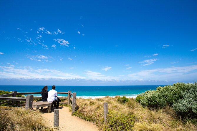 Great Ocean Road Reverse Tour with Iconic Stops & Wildlife - Koala spotting along the Great Ocean Road