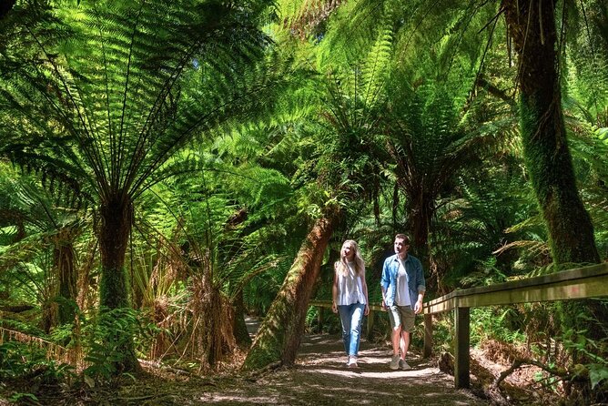 Great Ocean Road Small-Group Eco Tour from Melbourne - Guide quality matters on this route