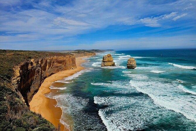 Great Ocean Road Small Group Tour with Dingos, Sparkling & Lunch - Why the dingo encounter changes the day