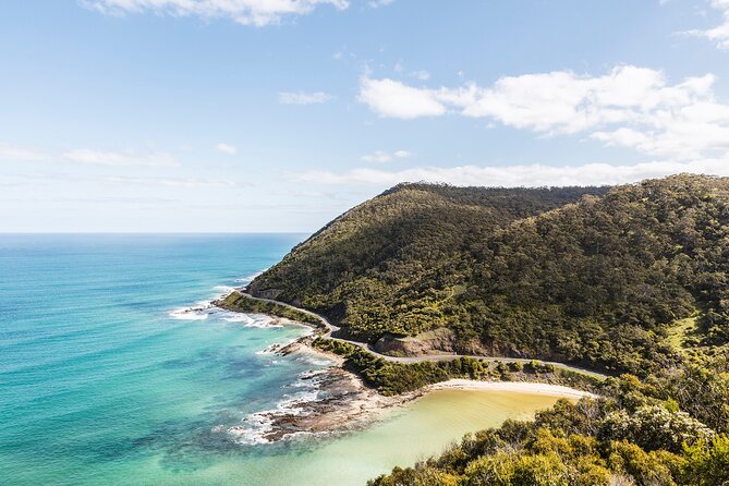 Great Ocean Road Small Group Tour with Dingos, Sparkling & Lunch - Loch Ard Gorge brings a darker coastal story