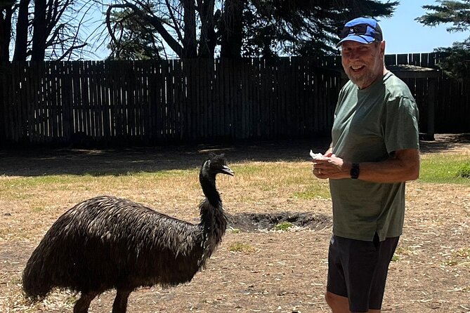 Great Ocean Road Small Group Tour with Dingos, Sparkling & Lunch - The Twelve Apostles and Gibson Steps are the grand finale