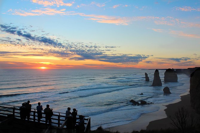 Great Ocean Road Sunset Private Experience - Looking for koalas, kangaroos, and native birds