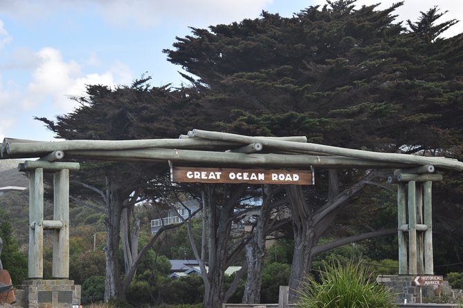 Great Ocean Road Tour Plus Koalas, Forest Walk and Morning Tea - Maits Rest trades ocean views for giant trees