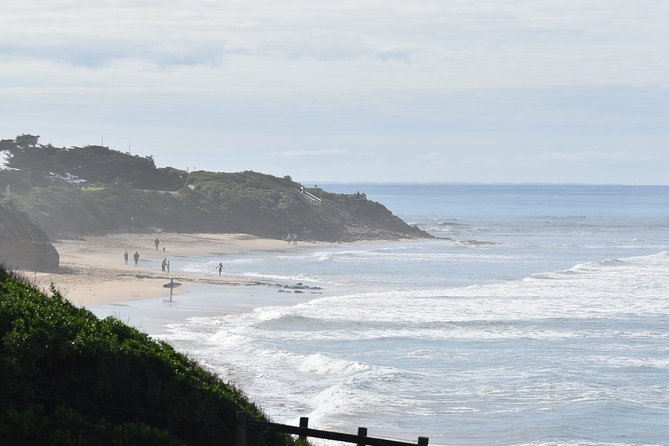 Great Ocean Road Tour Plus Koalas, Forest Walk and Morning Tea - Razorback, Island Arch and Loch Ard Gorge