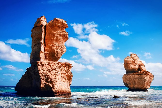 Great Ocean Road Tour Plus Koalas, Forest Walk and Morning Tea - From Torquay beaches to the Great Ocean Road sign