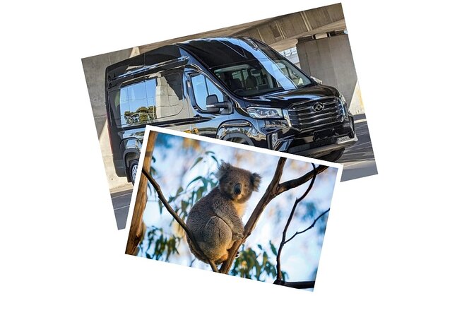 Great Ocean Road Tour Reverse –SML GRP-DLUX Mini Bus Hotel Pickup - The Twelve Apostles are the day’s big moment