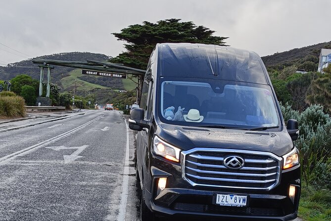 Great Ocean Road Tour Reverse –SML GRP-DLUX Mini Bus Hotel Pickup - Loch Ard Gorge adds the human story