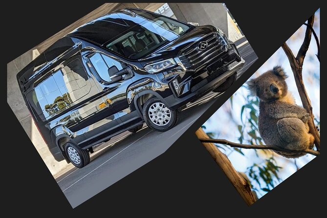 Great Ocean Road Tour Reverse –SML GRP-DLUX Mini Bus Hotel Pickup - The rainforest walk changes the pace