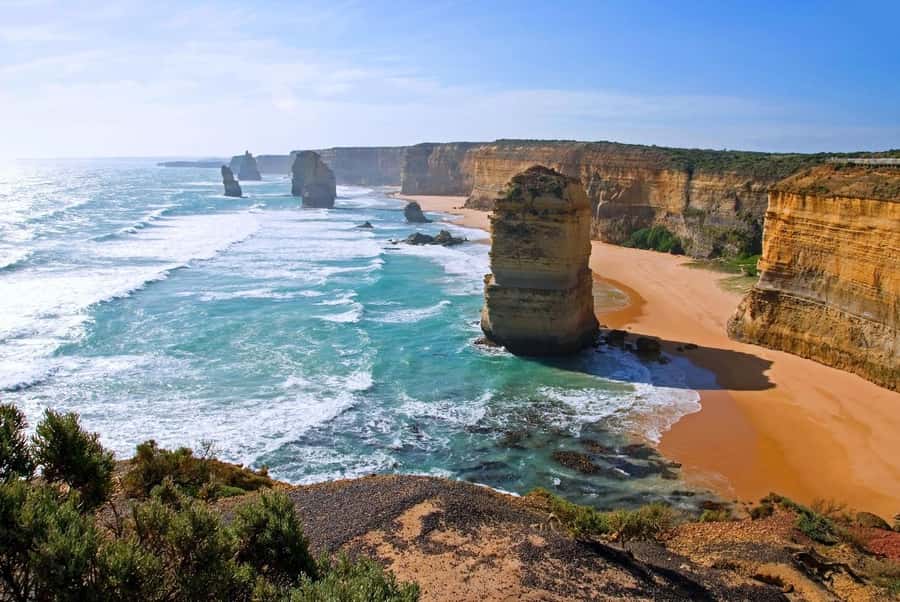 Great Ocean Road Tour w/ Deluxe Minibus & Top-Rated Guide - Kennett River and the chance to see wild koalas