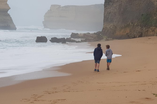 Great Ocean Road Ultimate Two Day Tour - Day two enters the rainforest before reaching the Apostles