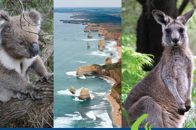 Great Ocean Road Ultimate Two Day Tour - What the $270.40 price really covers