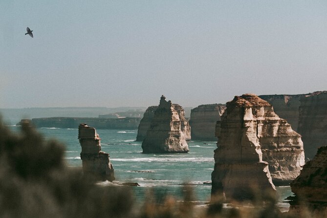 Half-Day or Full-Day Tour with Private Guide from Melbourne - Four hours in Melbourne: make the short day count
