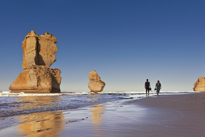 Half-Day or Full-Day Tour with Private Guide from Melbourne - What the guides add to the day