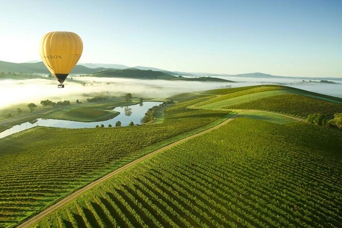Half-Day or Full-Day Tour with Private Guide from Melbourne - Comfort, timing, and practical limits